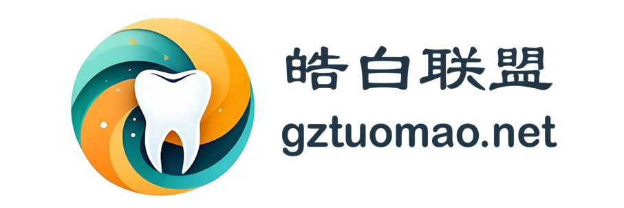 皓白联盟